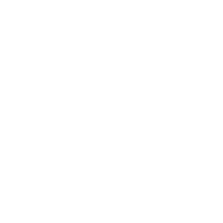 AVi Statistik-Software, Management Tool Unternehmensführung